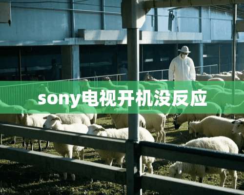 sony电视开机没反应