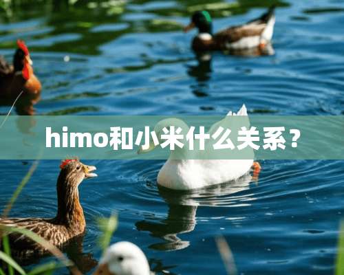 himo和小米什么关系？