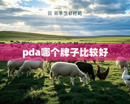 pda哪个牌子比较好