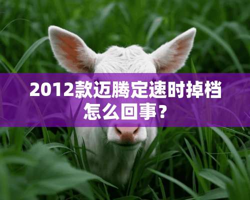 2012款迈腾定速时掉档怎么回事？