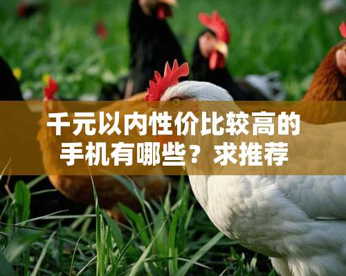 千元以内性价比较高的手机有哪些？求推荐