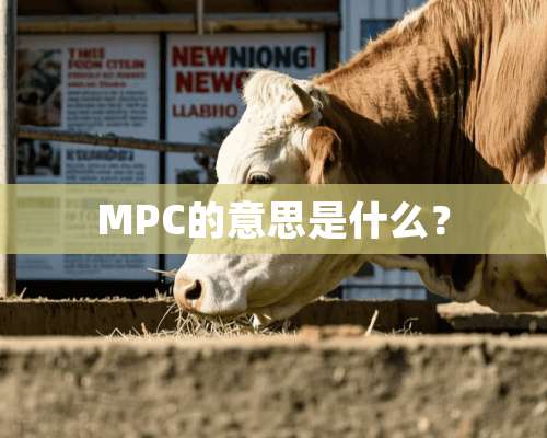 MPC的意思是什么？