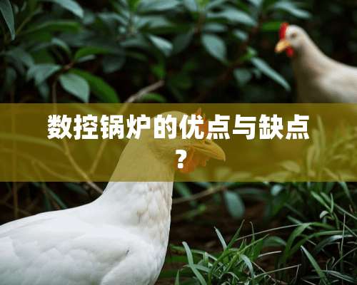 数控锅炉的优点与缺点？