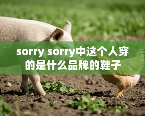 sorry sorry中这个人穿的是什么品牌的鞋子