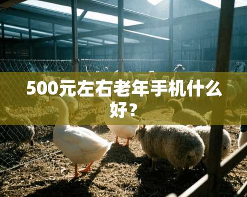 500元左右老年手机什么好？