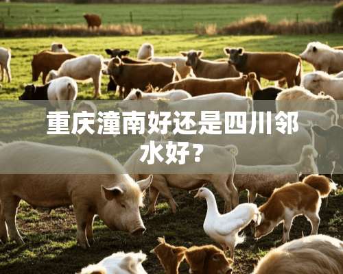 重庆潼南好还是四川邻水好？