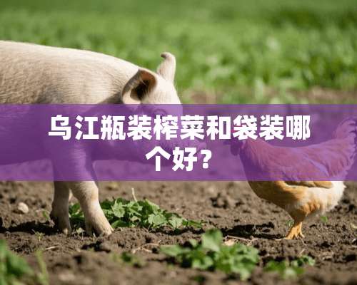 乌江瓶装榨菜和袋装哪个好？