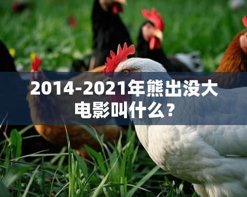 2014-2021年熊出没大电影叫什么？