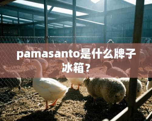 pamasanto是什么牌子冰箱？