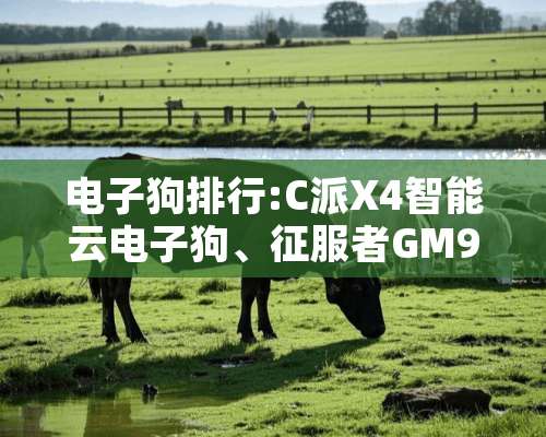 ***排行:C派X4智能云***、***GM999+***？