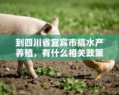 到四川省宜宾市搞水产养殖，有什么相关政策