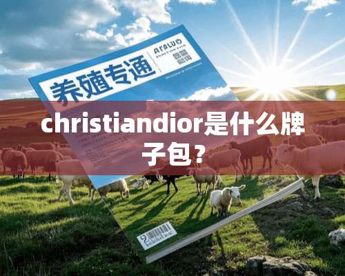 christiandior是什么牌子包？