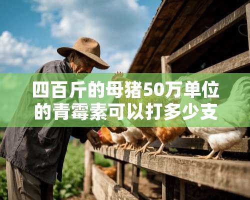 四百斤的母猪50万单位的青霉素可以打多少支一次