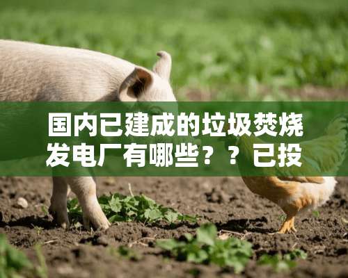 国内已建成的垃圾焚烧发电厂有哪些？？已投入使用的又有哪些？？？？