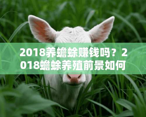 2018养蟾蜍赚钱吗？2018蟾蜍养殖前景如何