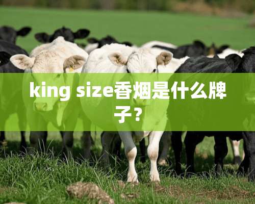 king size香烟是什么牌子？