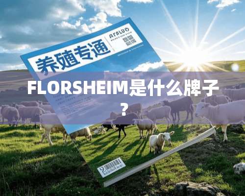 FLORSHEIM是什么牌子？