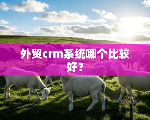 外贸crm系统哪个比较好？