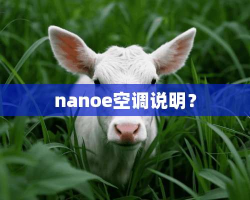 nanoe空调说明？