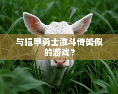 与铠甲勇士激斗传类似的游戏？