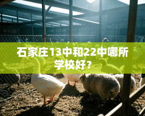 石家庄13中和22中哪所学校好？