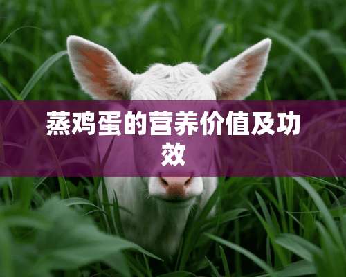 蒸鸡蛋的营养价值及功效