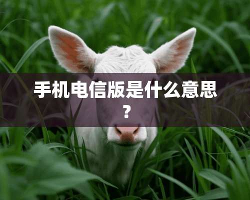 手机电信版是什么意思？