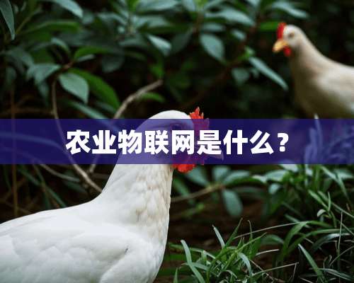 农业物联网是什么？