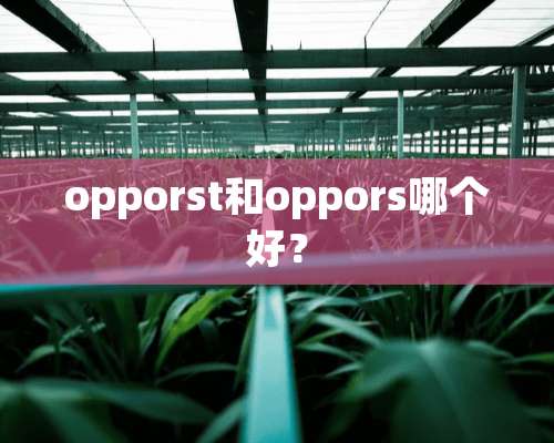 opporst和oppors哪个好？