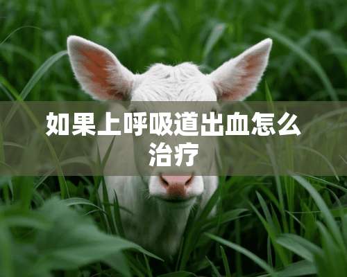 如果上呼吸道出血怎么治疗