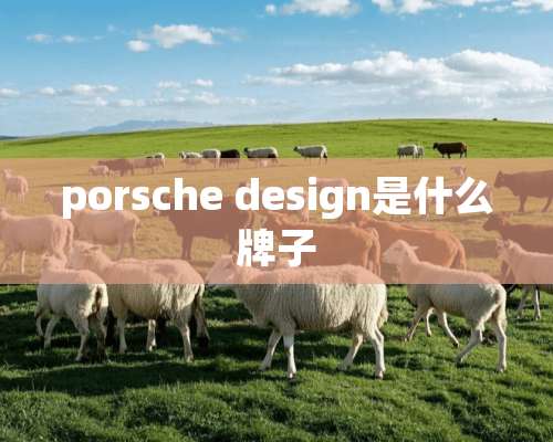 porsche design是什么牌子