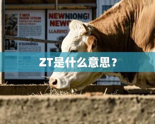 ZT是什么意思？