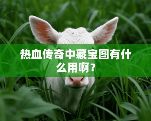 热血传奇中藏宝图有什么用啊？