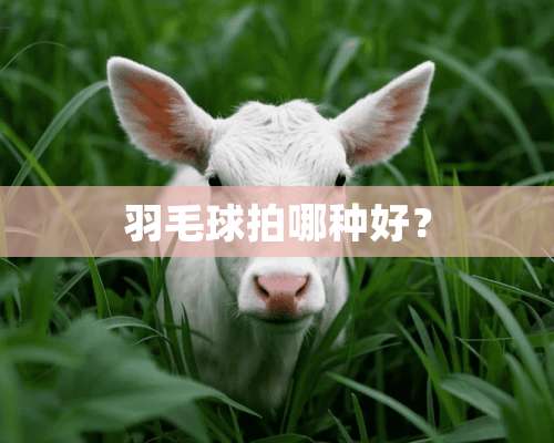 羽毛球拍哪种好？