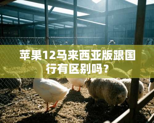 苹果12马来西亚版跟国行有区别吗？