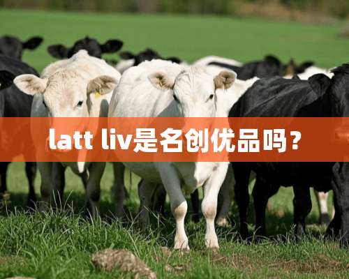 latt liv是名创优品吗？