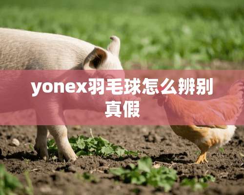 yonex羽毛球怎么辨别真假