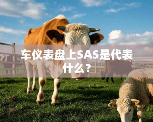 车仪表盘上SAS是代表什么？