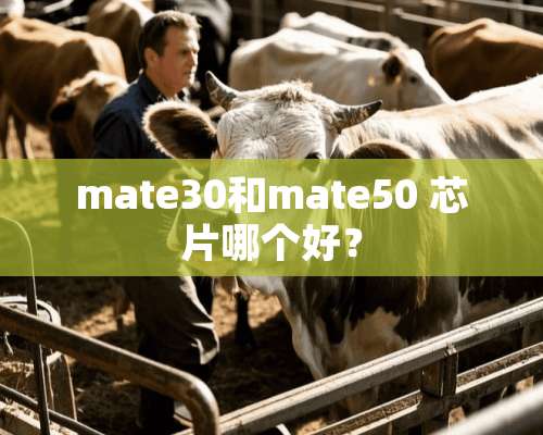 mate30和mate50 芯片哪个好？