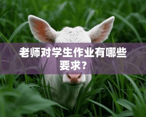 老师对学生作业有哪些要求？