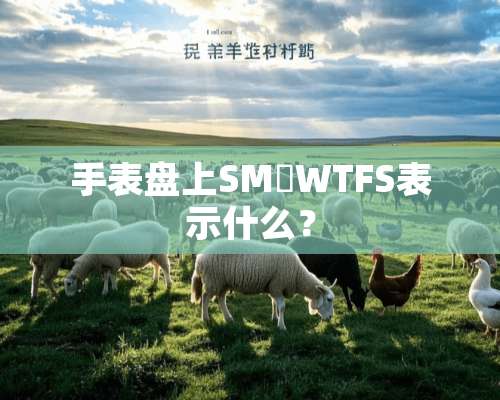 手表盘上SM丅WTFS表示什么？