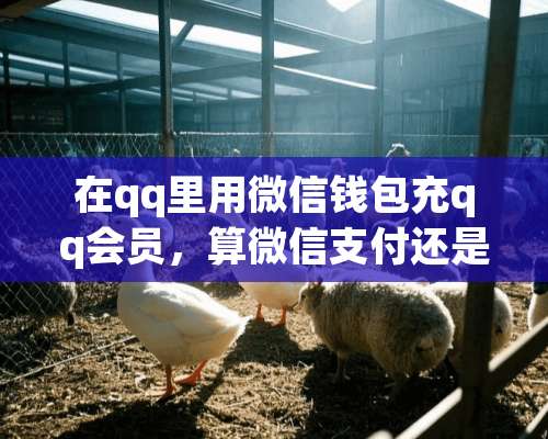 在qq里用微信钱包充qq会员，算微信支付还是qq支付？