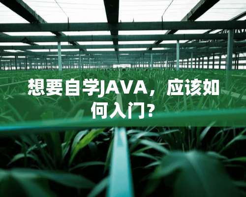 想要自学JAVA，应该如何入门？