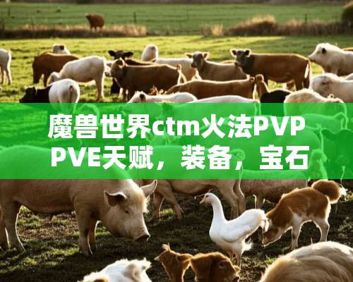 魔兽世界ctm火法PVP PVE天赋，装备，宝石，附魔PVE输出手法？