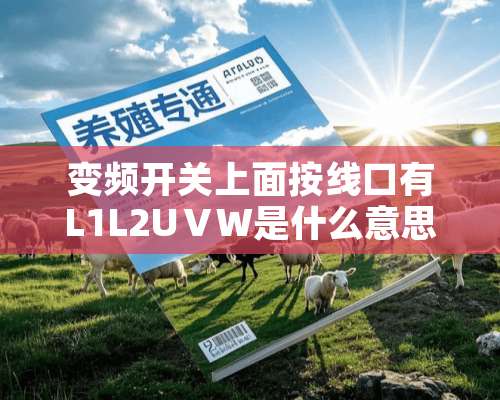 变频开关上面按线口有L1L2UⅤW是什么意思？