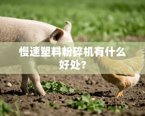 慢速塑料粉碎机有什么好处？