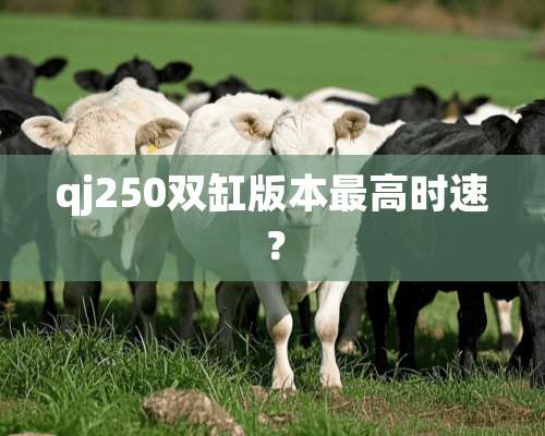 qj250双缸版本最高时速？