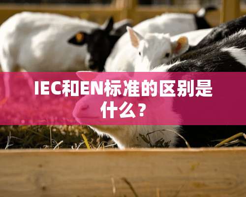 IEC和EN标准的区别是什么？