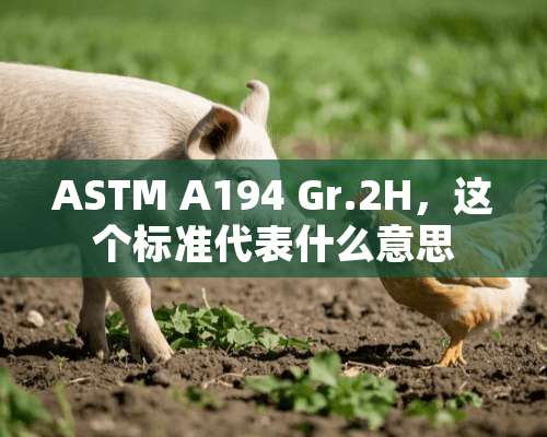 ASTM A194 Gr.2H，这个标准代表什么意思