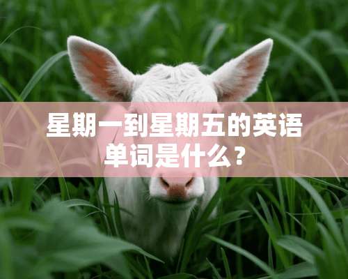 星期一到星期五的英语单词是什么？